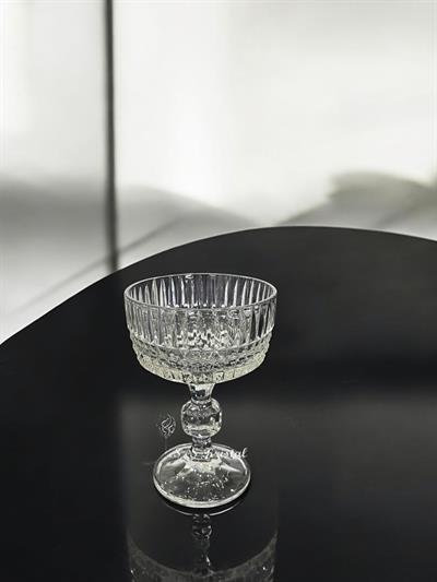 Uzun Ayaklı Dondurmalık Çit Şeffaf