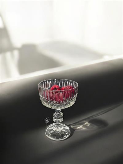 Uzun Ayaklı Dondurmalık Çit Şeffaf