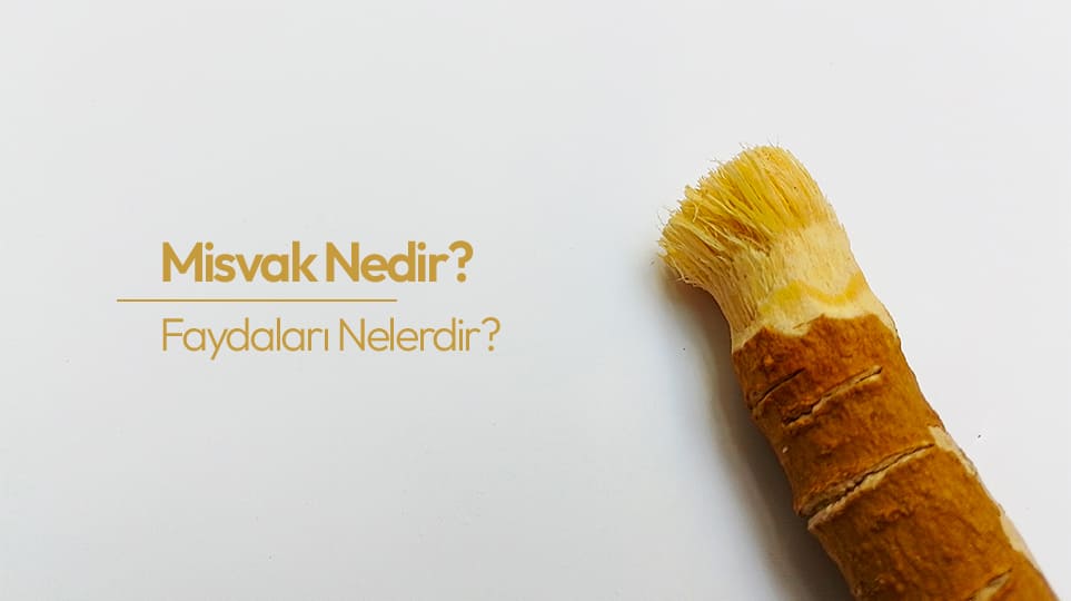 Misvak Nedir? Faydaları Nelerdir?