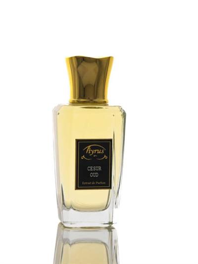 Brave Oud Extrait de Parfüm 50 ml.