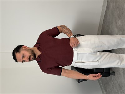 ŞERİT NAKIŞ DETAYLI TRİKO POLO YAKA TİŞÖRT MÜRDÜM