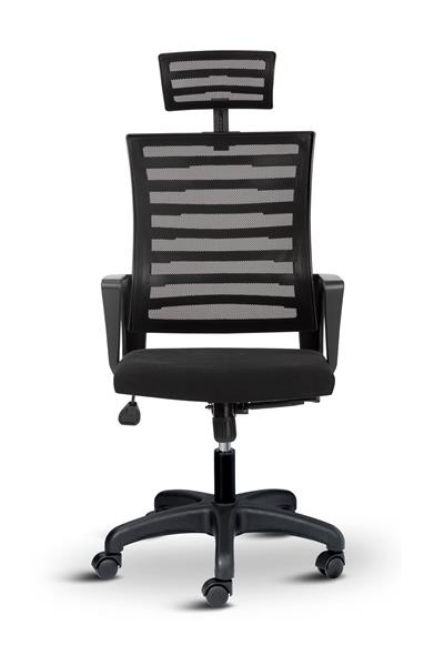 Asbir Mobilya Capri Başlıklı Fileli Ev Ofis Koltuğu Çalışma Koltuğu Bilgisayar Sandalyesi