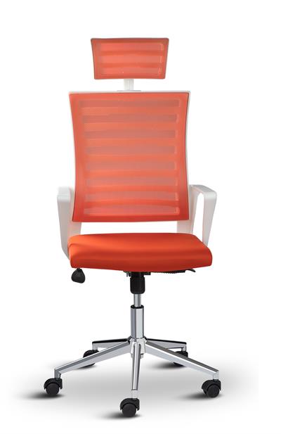 Asbir Mobilya Ceo Fileli Başlıklı Metal Ayaklı Çalışma Koltuğu Ofis Sandalyesi