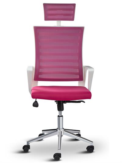 Asbir Mobilya Ceo Fileli Başlıklı Metal Ayaklı Çalışma Koltuğu Ofis Sandalyesi