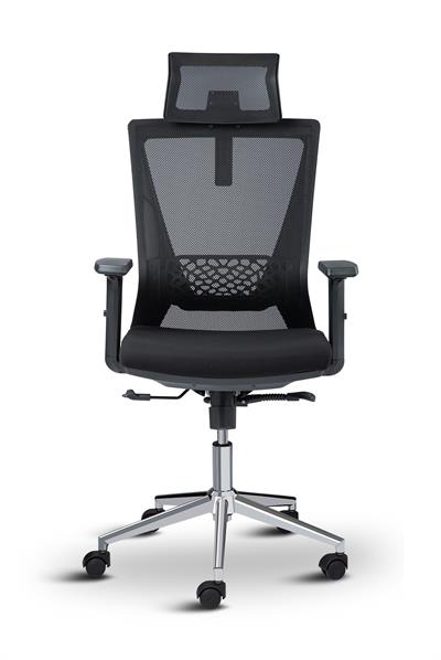 Asbir Mobilya Ceo Plus Yönetici Koltuğu Çalışma Koltuğu Ofis Koltuğu