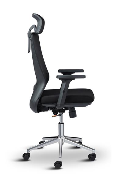 Asbir Mobilya Ceo Plus Yönetici Koltuğu Çalışma Koltuğu Ofis Koltuğu