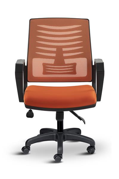 Asbir Mobilya Metis Plus Çalışma Koltuğu Ofis Sandalyesi Bilgisayar Koltuğu