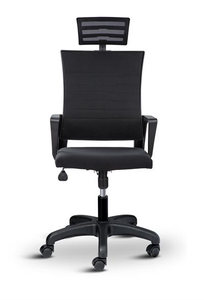 Asbir Mobilya Rigel 55300 Başlıklı Ev ve Ofis Koltuğu Çalışma Koltuğu