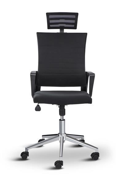 Asbir Mobilya Rigel 55300 Başlıklı Metal Ayaklı  Ofis Koltuğu Çalışma Koltuğu