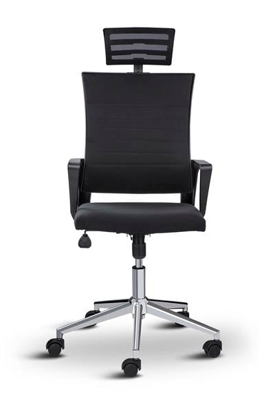 Asbir Mobilya Rigel Başlıklı Metal Ayaklı Çalışma Koltuğu Ofis Sandalyesi