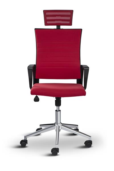 Asbir Mobilya Rigel Başlıklı Metal Ayaklı Çalışma Koltuğu Ofis Sandalyesi