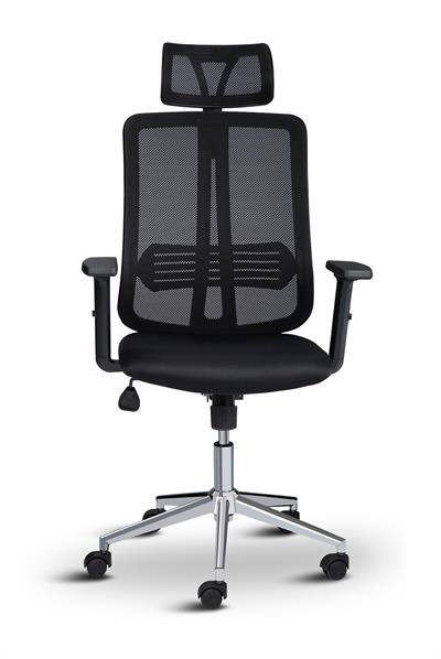 Asbir Mobilya Serden Yönetici Koltuğu Çalışma Koltuğu Ofis Koltuğu