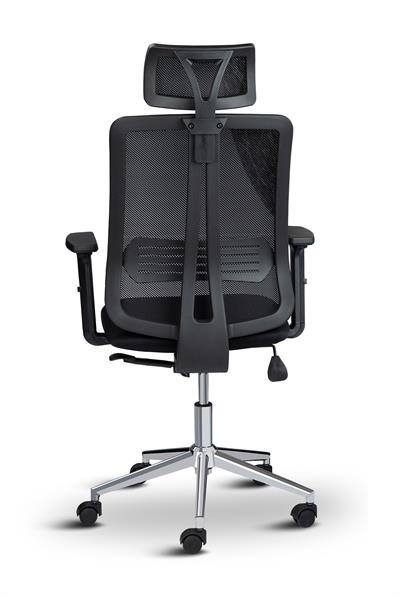 Asbir Mobilya Serden Yönetici Koltuğu Çalışma Koltuğu Ofis Koltuğu