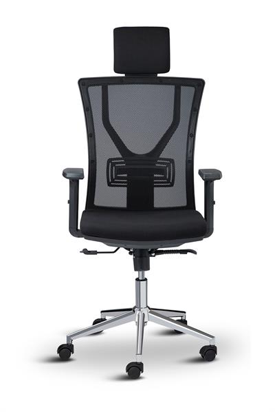 Asbir Mobilya Target Yönetici Koltuğu Çalışma Koltuğu Ofis Koltuğu