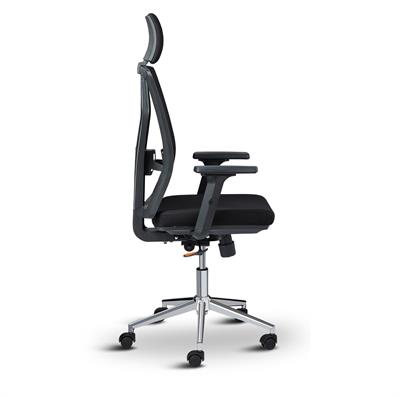 Asbir Mobilya Target Yönetici Koltuğu Çalışma Koltuğu Ofis Koltuğu