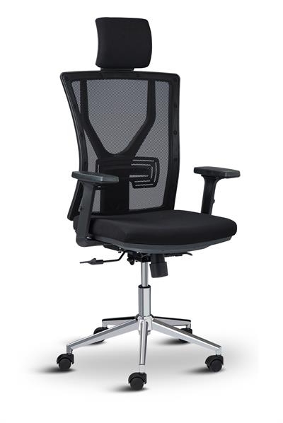 Asbir Mobilya Target Yönetici Koltuğu Çalışma Koltuğu Ofis Koltuğu