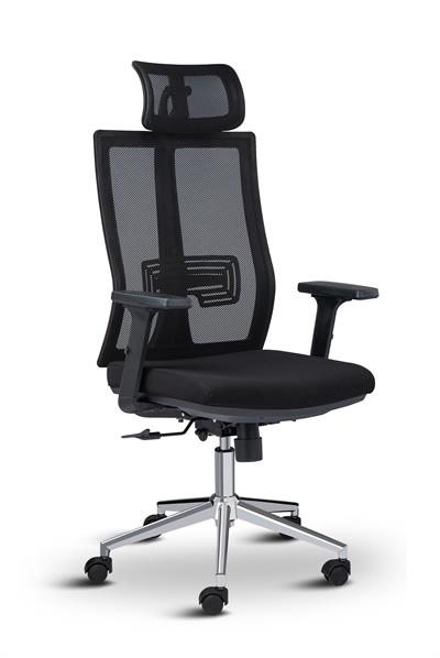 Asbir Mobilya Token  Yönetici Koltuğu Çalışma Koltuğu Ofis Koltuğu