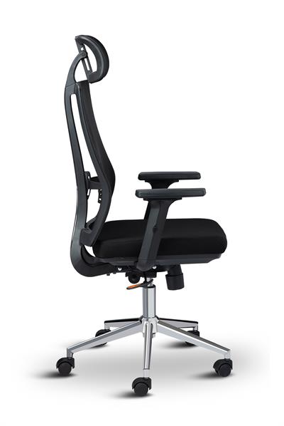 Asbir Mobilya Token  Yönetici Koltuğu Çalışma Koltuğu Ofis Koltuğu