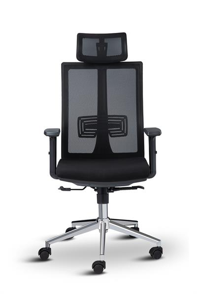 Asbir Mobilya Token  Yönetici Koltuğu Çalışma Koltuğu Ofis Koltuğu