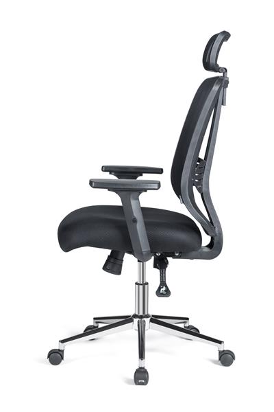 Asbir Mobilya Velora Plus Çalışma Koltuğu Ofis Sandalyesi 