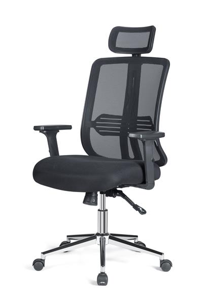 Asbir Mobilya Velora Plus Çalışma Koltuğu Ofis Sandalyesi 