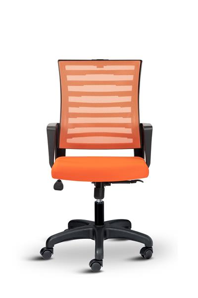 Asbir Mobilya Capri Fileli  Ofis Koltuğu Çalışma Koltuğu