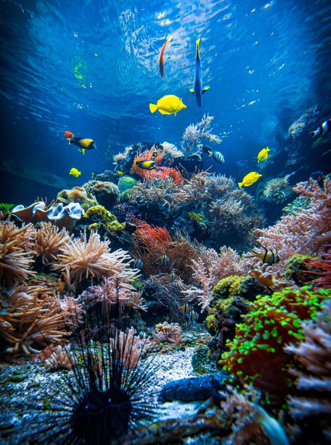 The Healing Power of the Sea: Why Water Calms the Soul