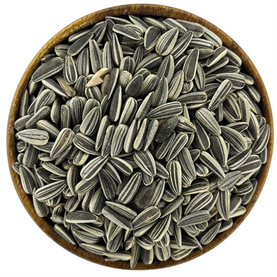 ÇİZGİLİ AY ÇEKİRDEĞİ