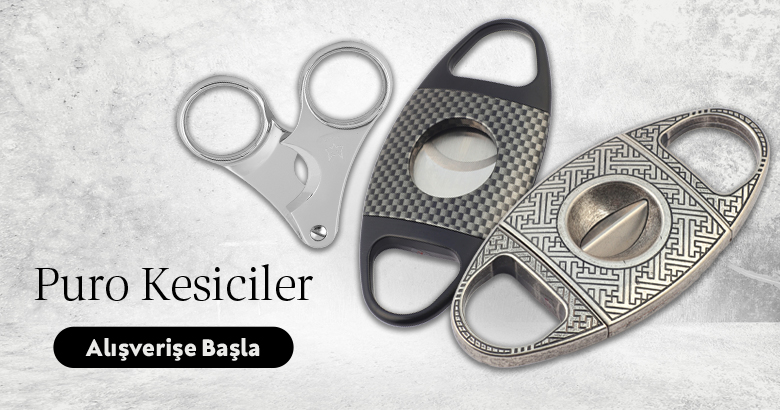 Kesiciler