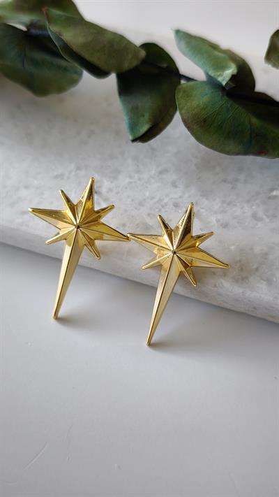 Kutup Yıldızı Küpe