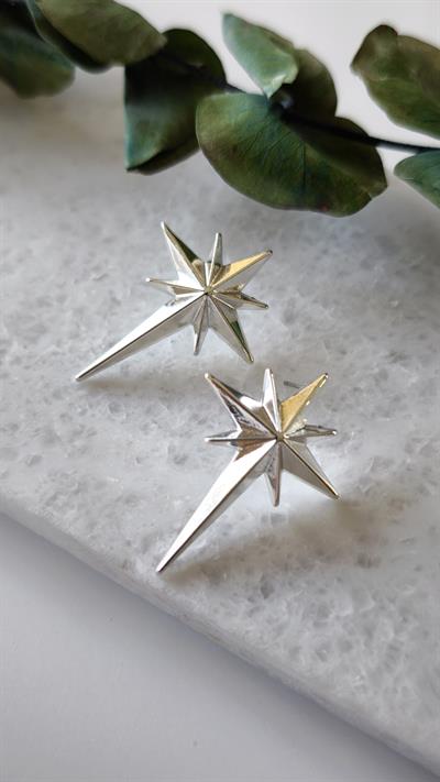 Kutup Yıldızı Küpe