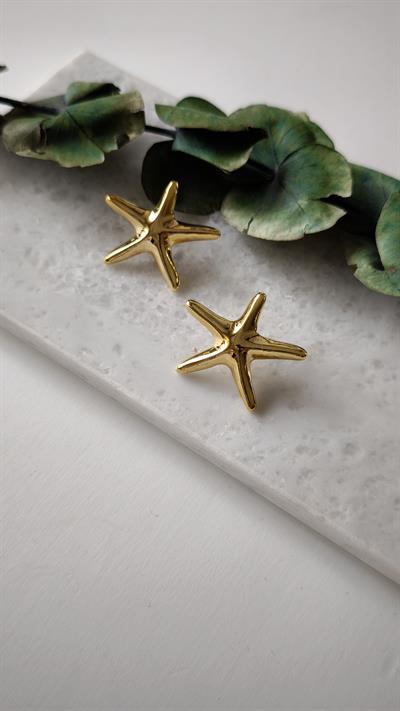 Marka Model Yıldız Şekil Küpe