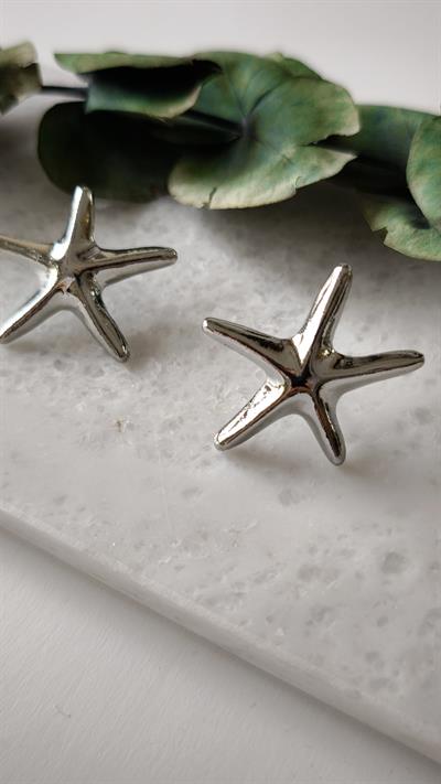 Marka Model Yıldız Şekil Küpe