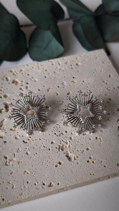 Özel Seri İki Renkli Zirkon Taş Detay Yıldız Figür Küpe 