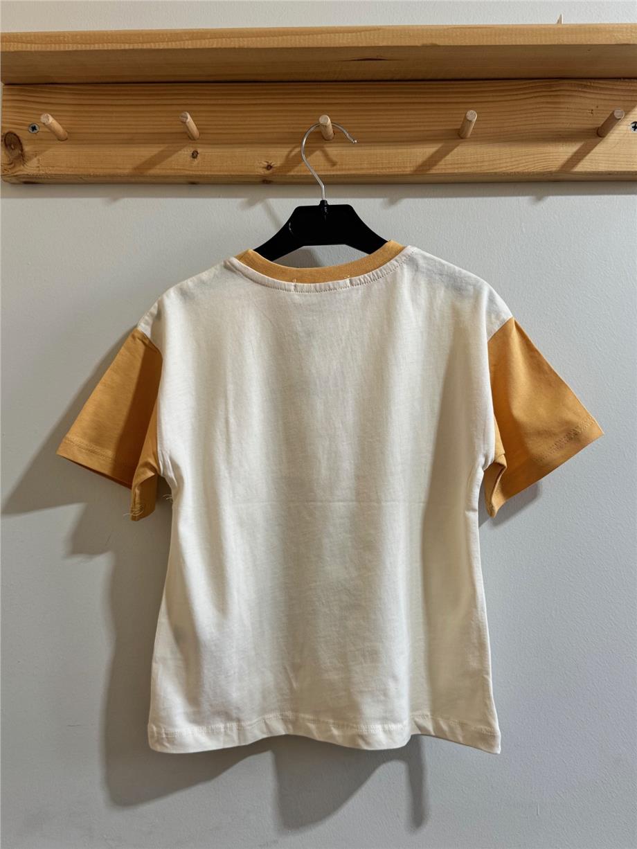 Erkek Çocuk Walt Dısney T-Shirt Sarı