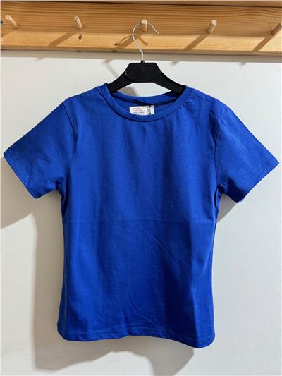 Erkek Çocuk Basic T-Shirt Mavi