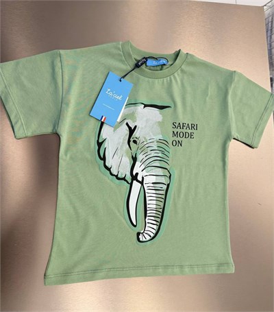 Erkek Çocuk Safari Temalı T-shirt ve Balon Jean Alt Üst Takım