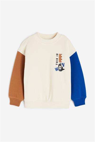 Erkek Çocuk Sırt Baskı Detaylı Şardonsuz Sweatshirt Çok Renkli