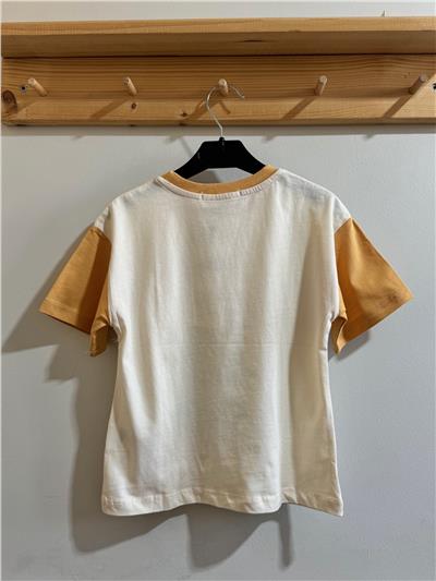 Erkek Çocuk Walt Dısney T-Shirt Sarı