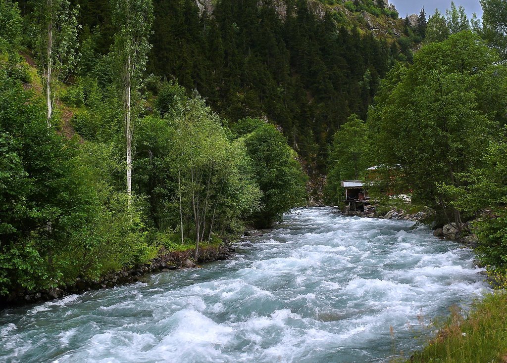 Çoruh Nehri