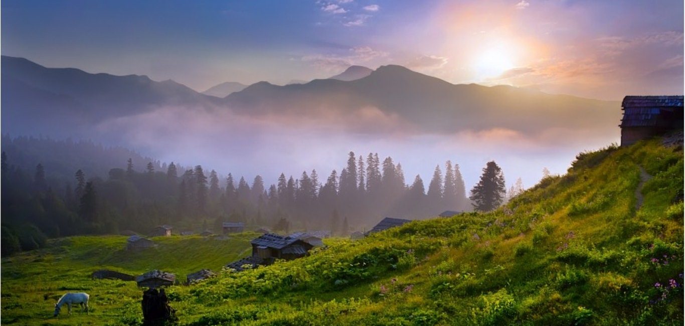 Camili Yöresi (Efeler-Gorgit Tabiatı Koruma Alanı)