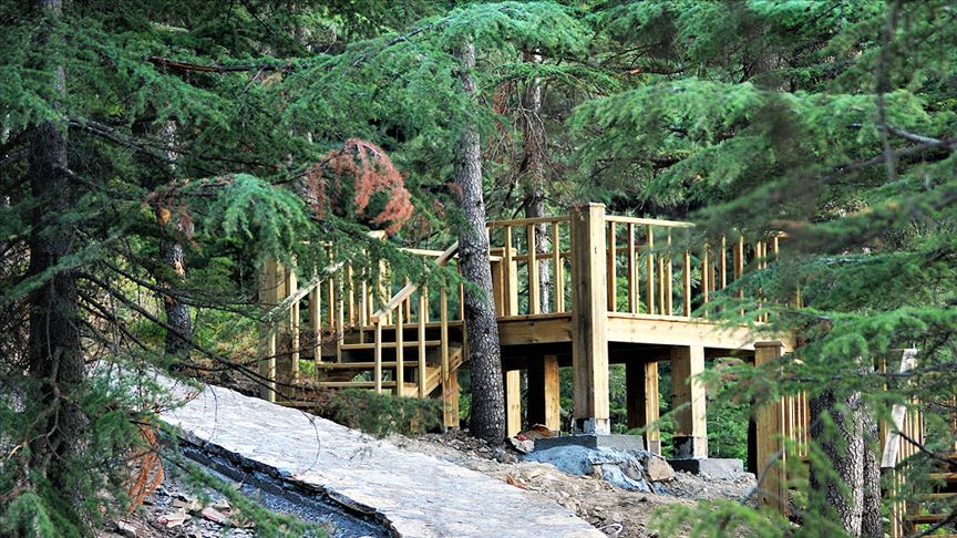 Yavşan Yaylası Tabiat Parkı