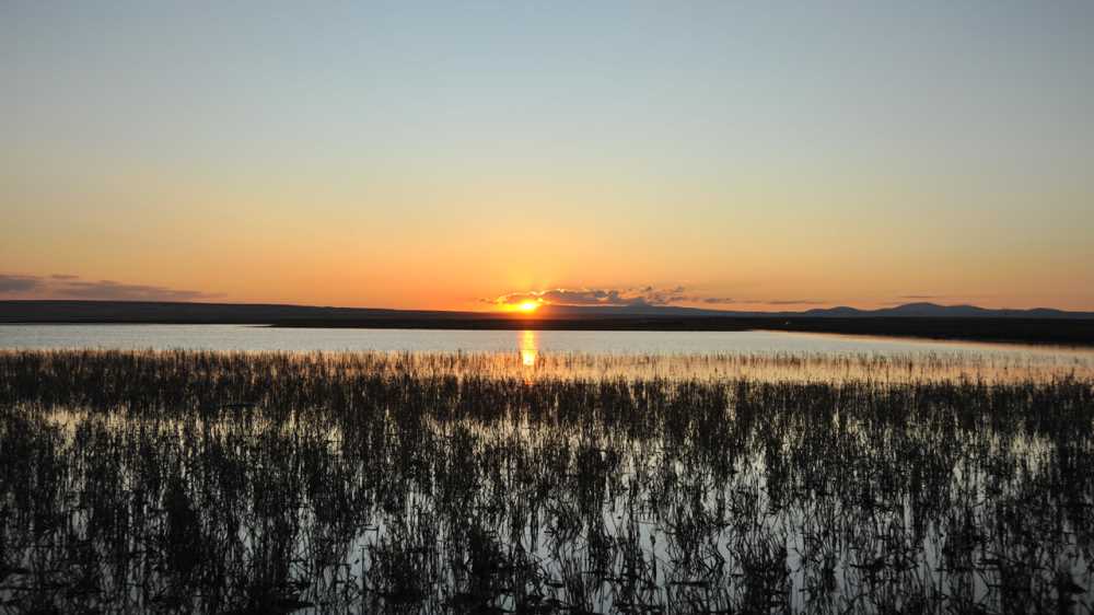 Kuyucuk Kuş Cenneti
