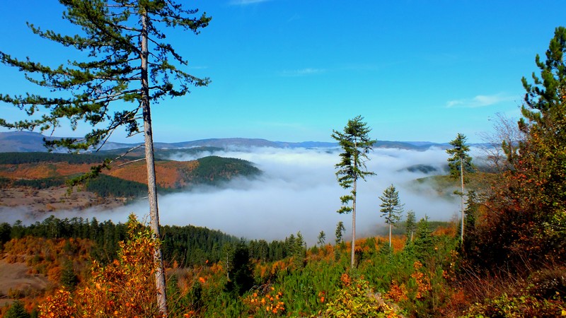 Küre Dağları Milli Parkı