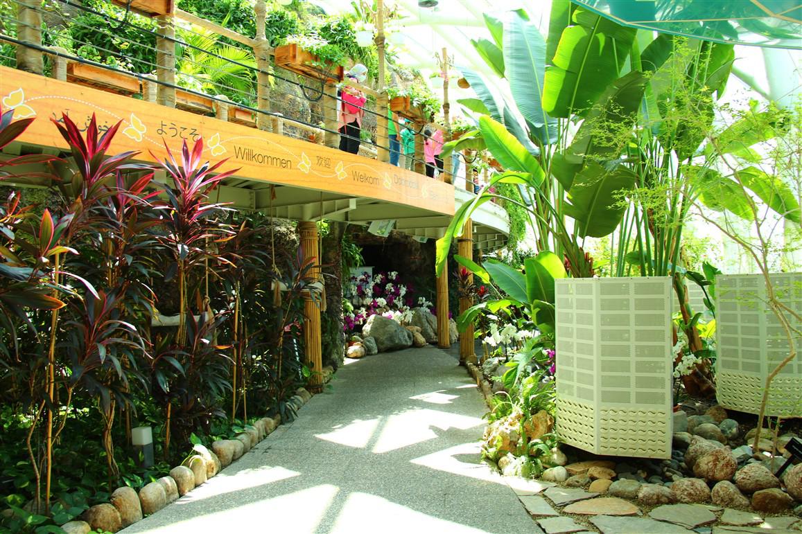 Konya Tropikal Kelebek Bahçesi