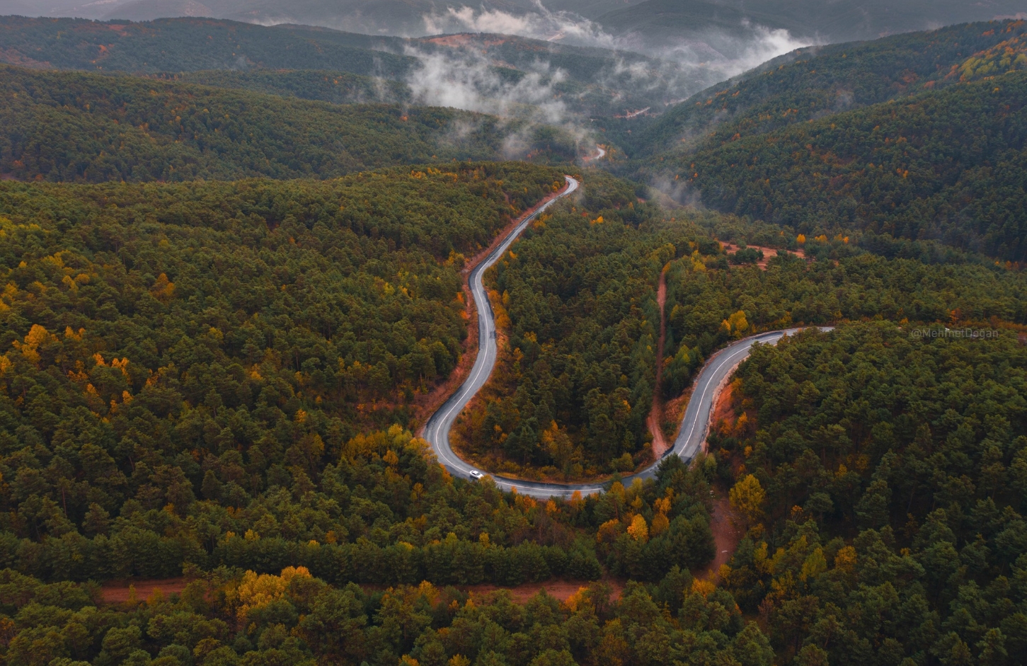Akdağmadeni Ormanları