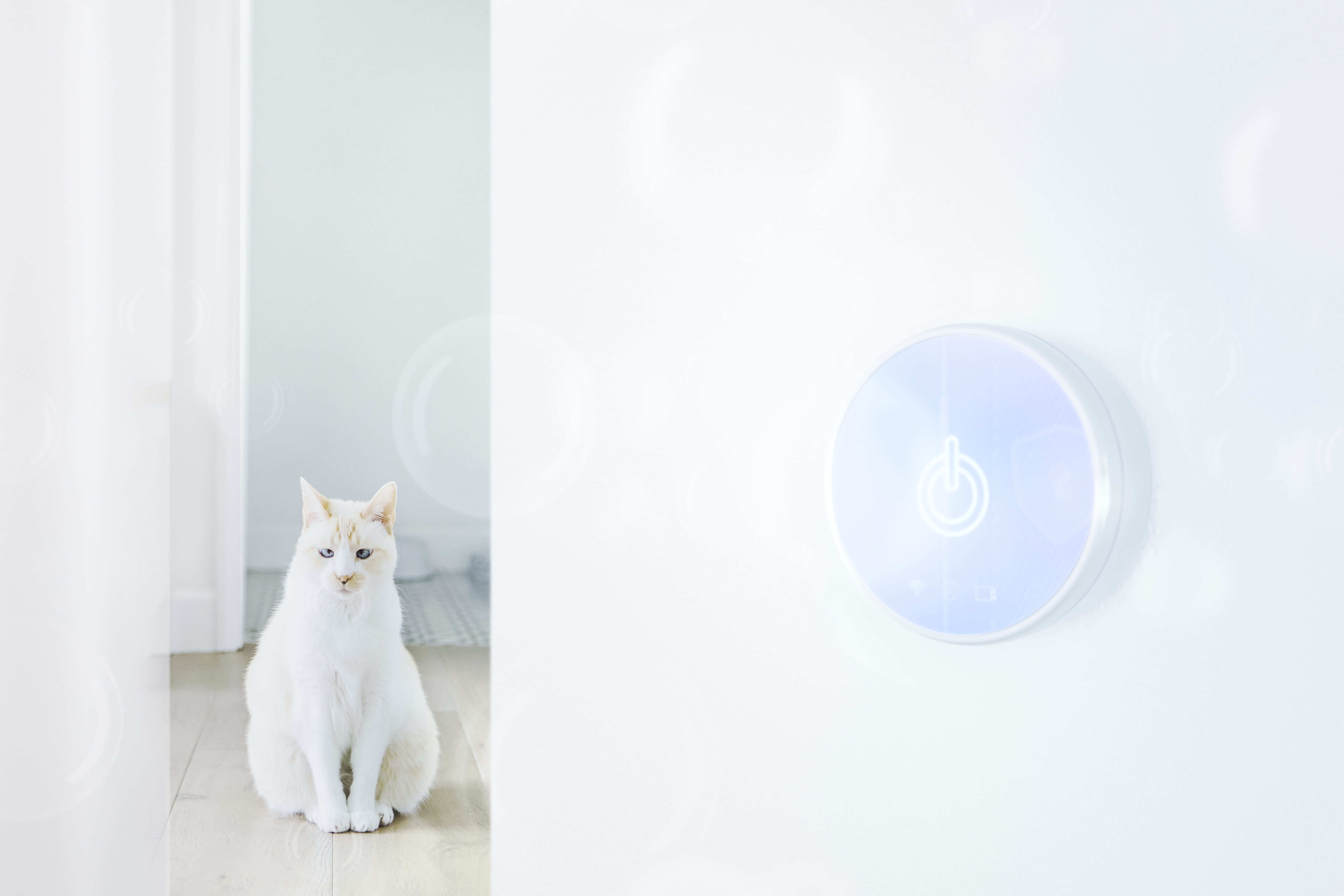 IoT ve Akıllı Evcil Hayvan Takip Sistemleri: Evcil Hayvanların Güvenliği ve Sağlığı