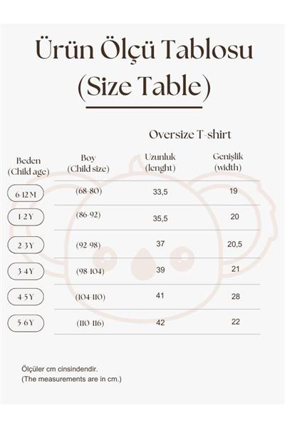 İndigo Nakışlı Oversize T-shirt