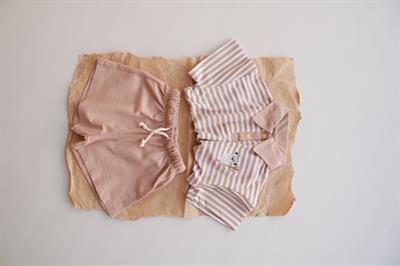 Koyu Bej Çizgili Koala Nakışlı Polo Yaka Şortlu Takım