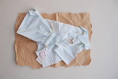 Mavi Çizgili Koala Nakışlı Polo Yaka Şortlu Takım